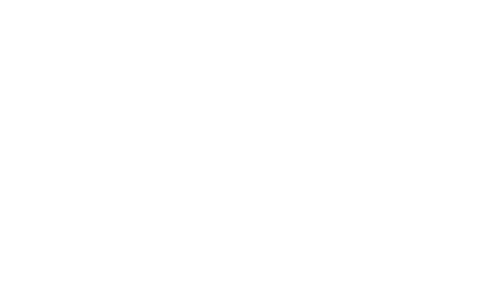 Kura Kura Bali
